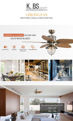 Cuchilla retractable invisible teledirigida decorativa moderna de 4100k Crystal Ceiling Fan With Light