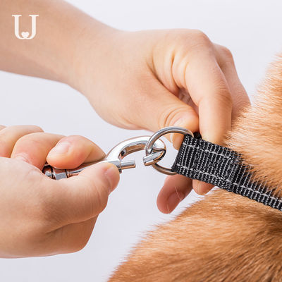 correa de perro retractable automática dorsal de la tracción del correo de los 5M Long Extendable Dog